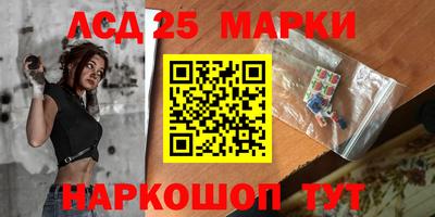 крисы Кулебаки