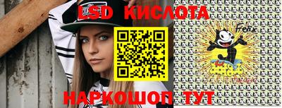 крисы Кулебаки