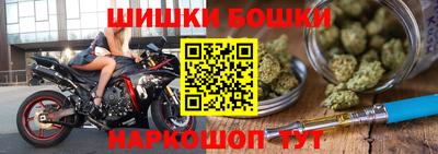 крисы Кулебаки