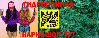 крисы Кулебаки