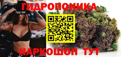 крисы Кулебаки