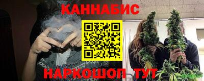 крисы Кулебаки