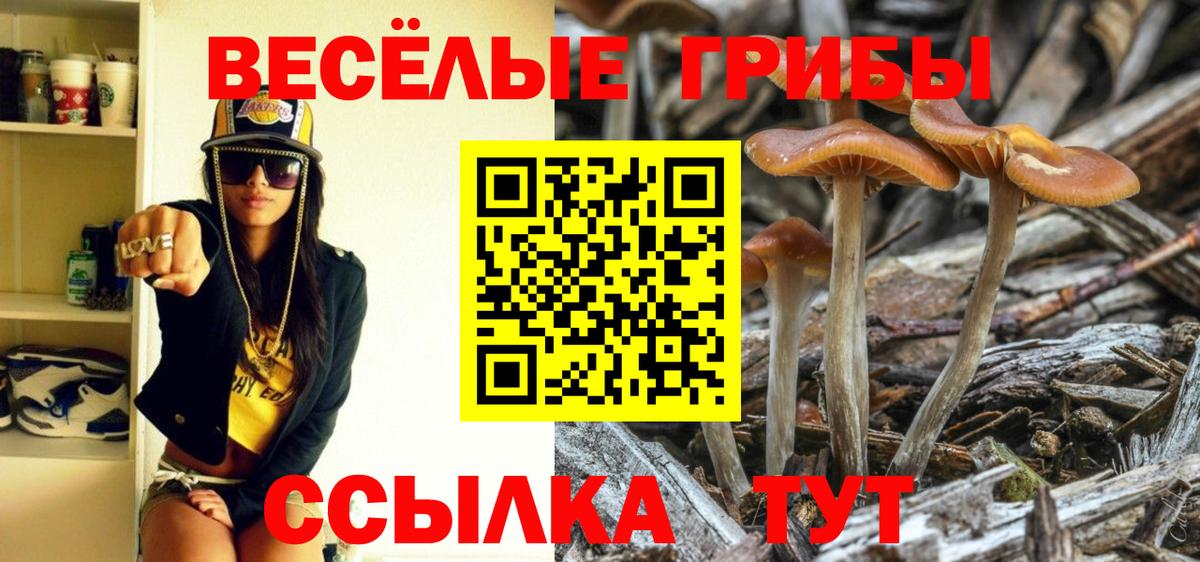 Бугуруслан  Псилоцибиновые грибы Magic Shrooms  Вход с VPN  Псилоцибиновые грибы прущие грибы 