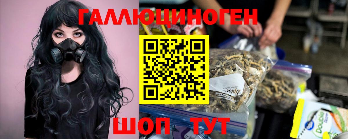 Галлюциногенные грибы GOLDEN TEACHER Бугуруслан